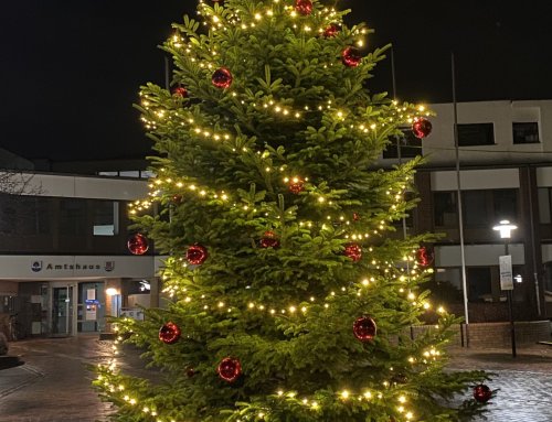 Die BGT Bürgergemeinschaft Trittau wünscht allen Trittauerinnen und Trittauern frohe Weihnachten und einen guten Rutsch ins neue Jahr!