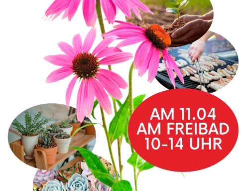 Die BGT lädt ein zum Pflanzenflohmarkt am 11.04.2026